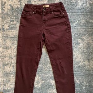 Blue Spice crimson jeans 🐙